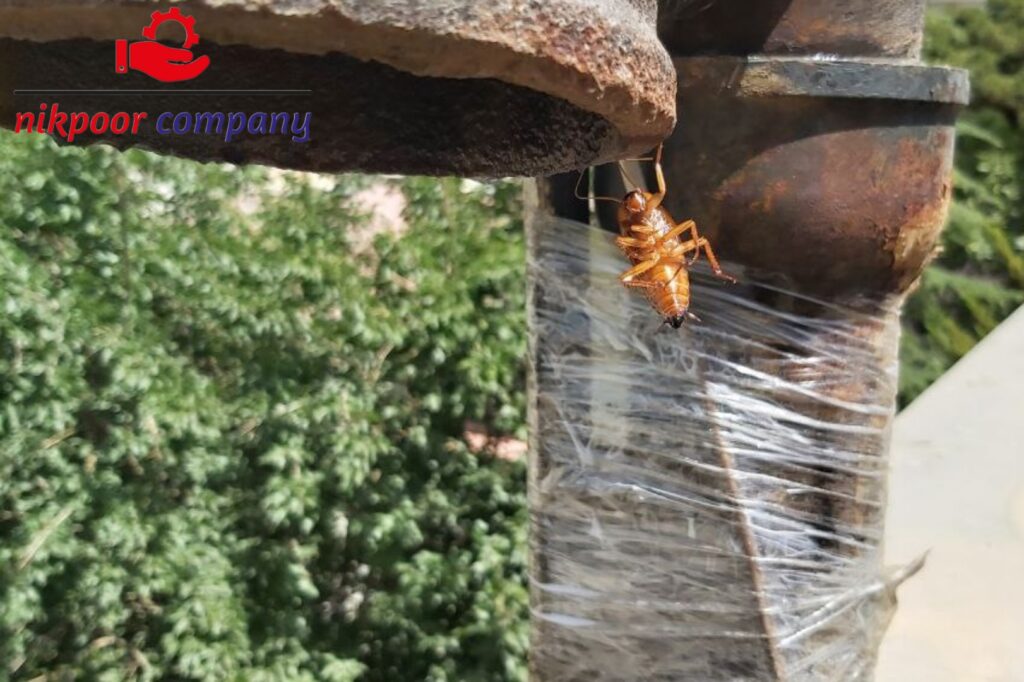 سمپاشی تخصصی