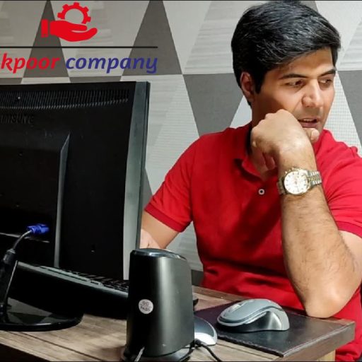 مهدی نیکپور،صاحب امتیاز برند نیکپور کمپانی