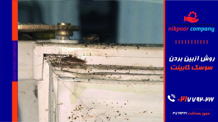 روش از بین بردن سوسک کابینت