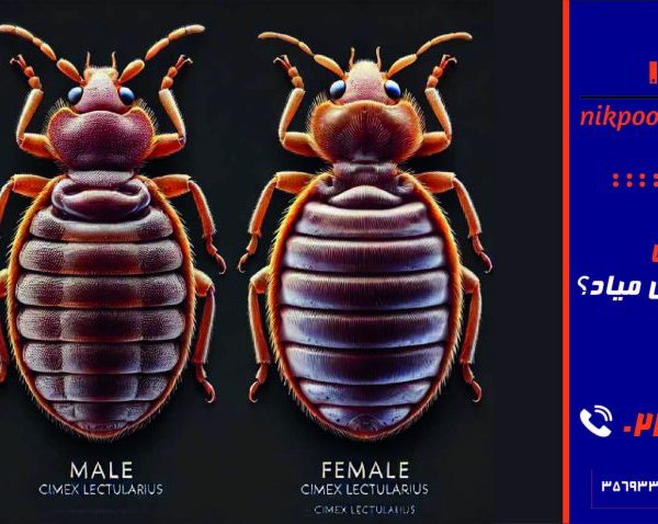 ساس از چی بدش میاد