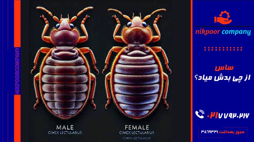 ساس از چی بدش میاد