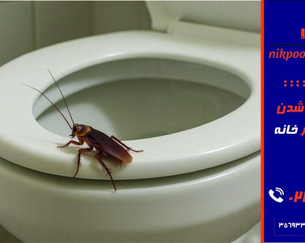 سوسک از چی بدش میاد