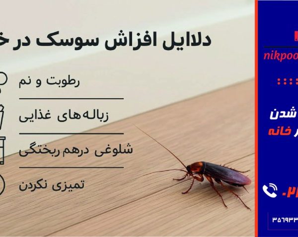 علت زیاد شدن سوسک در خانه