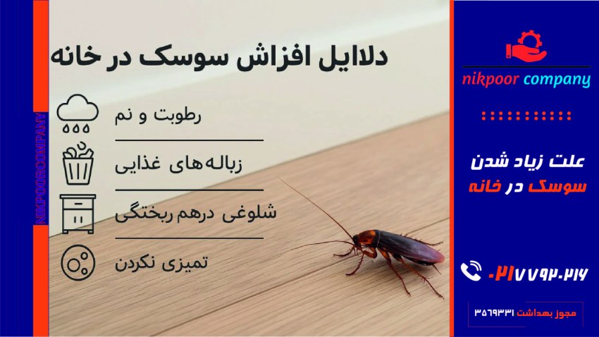علت زیاد شدن سوسک در خانه