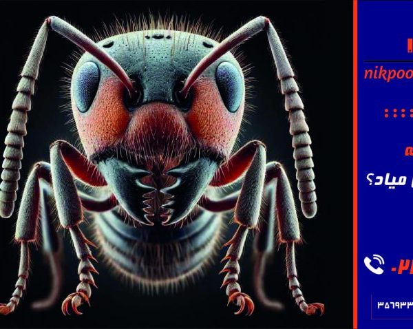 مورچه از چی بدش میاد