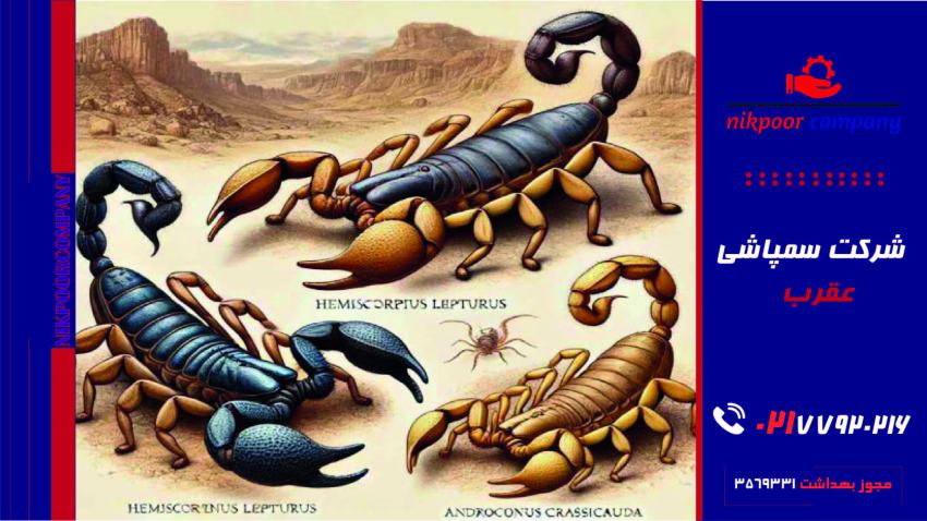 سمپاشی عقرب تهران