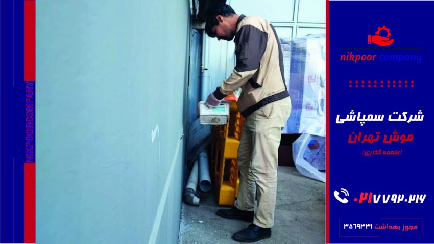 شرکت سمپاشی موش تهران