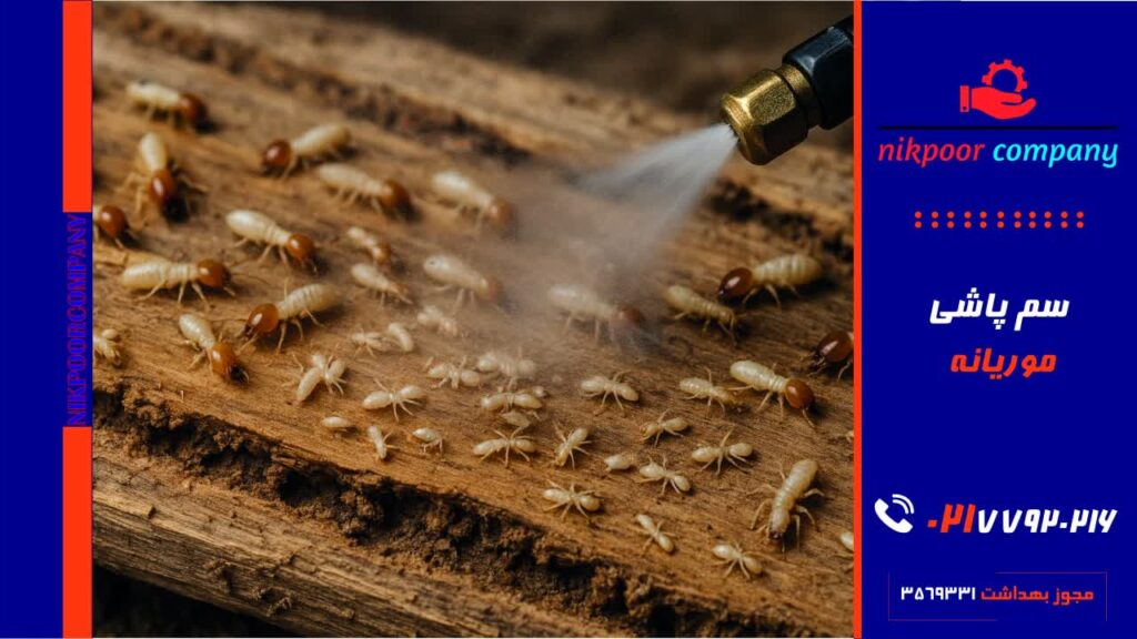 سمپاشی موریانه