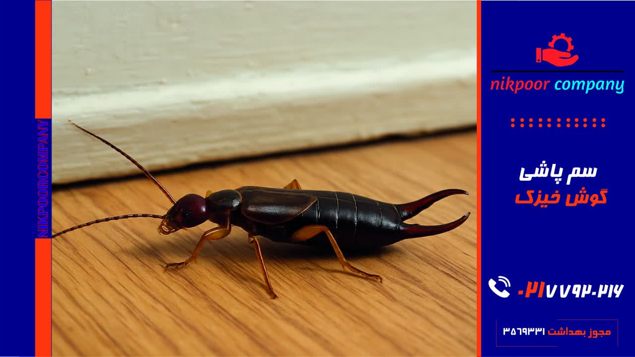 سمپاشی گوشخیزک