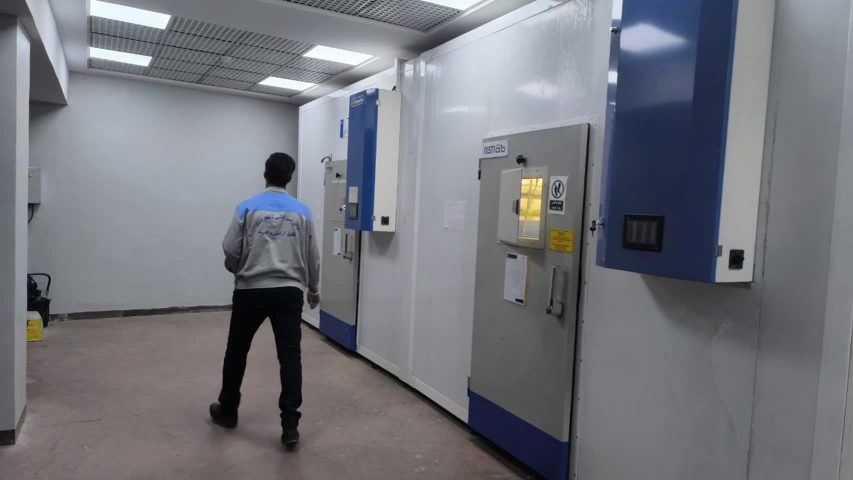 نحوه از بین بردن کک