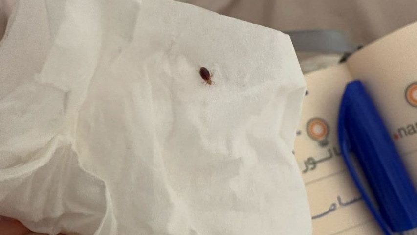 ساس از چی بدش میاد