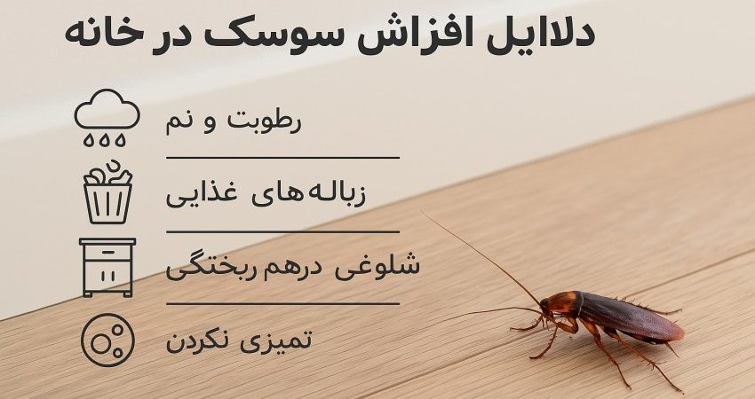 دلایل افزایش سوسک در خانه