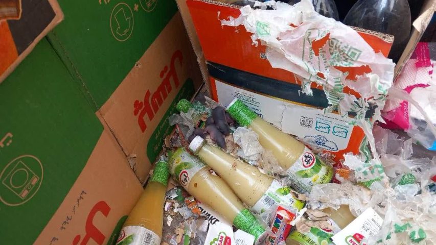 عکس بچه موش در انبار