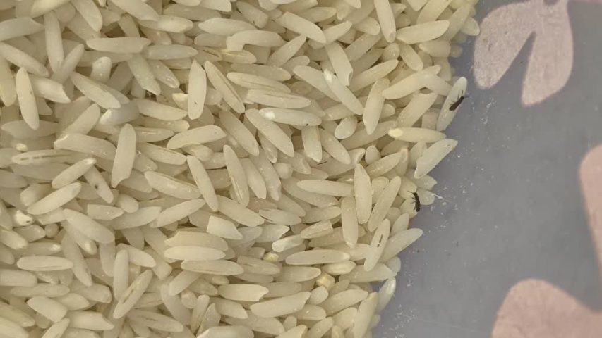 چطور حبوبات حشره زده را پاک کنیم