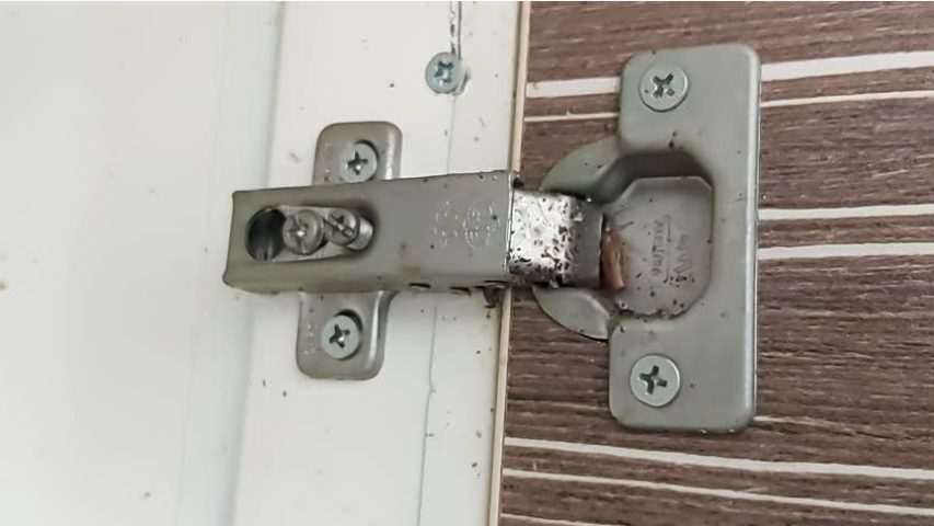 سمپاشی در فردیس