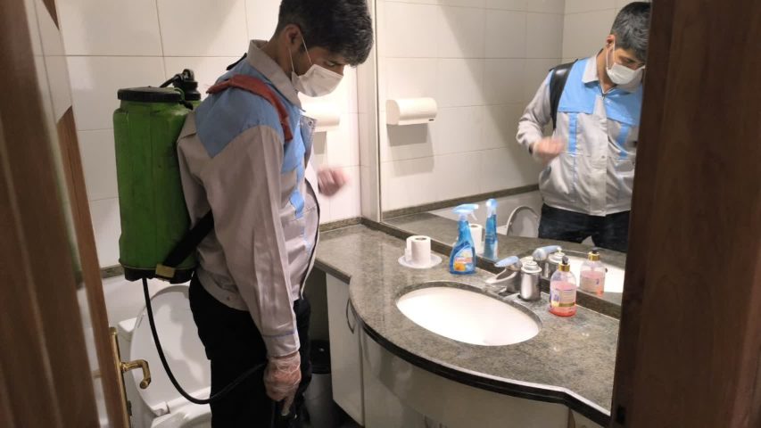 بهترین روش برای خلاص شدن از سوسک آمریکایی