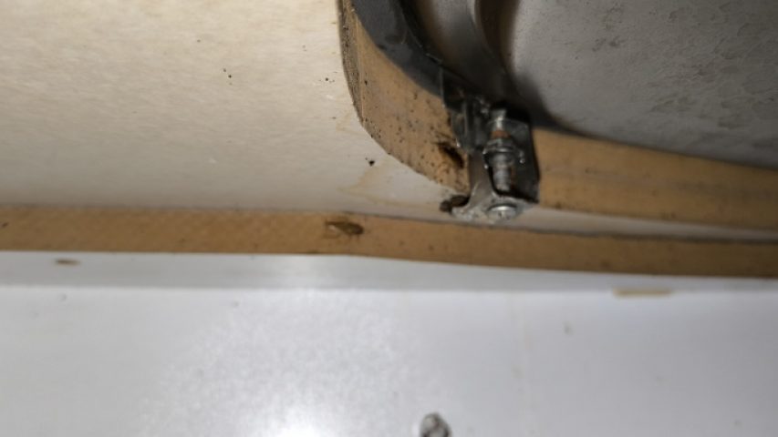 سوسک ریز سیاه کابینت