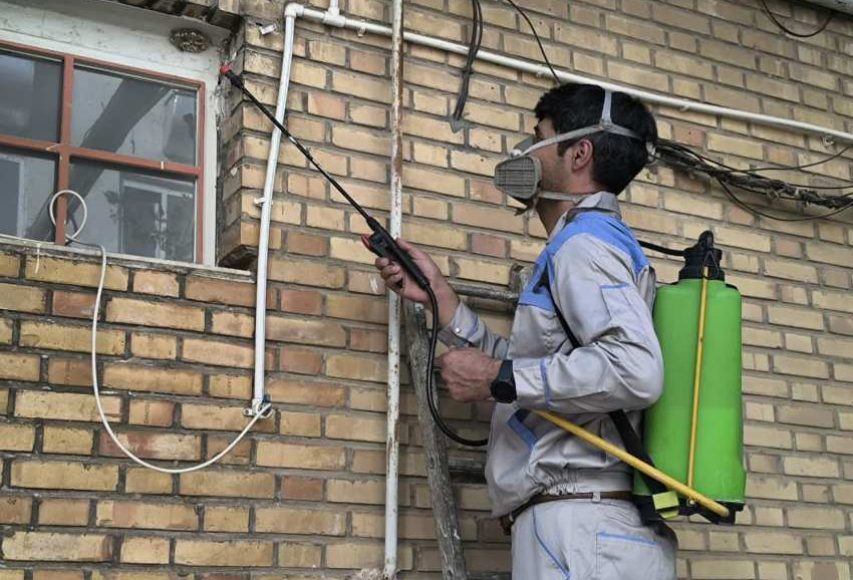 سمپاشی زنبور نیکپور کمپانی