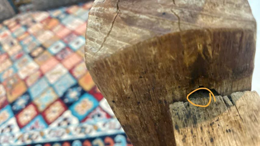 آثار ساس در محیط