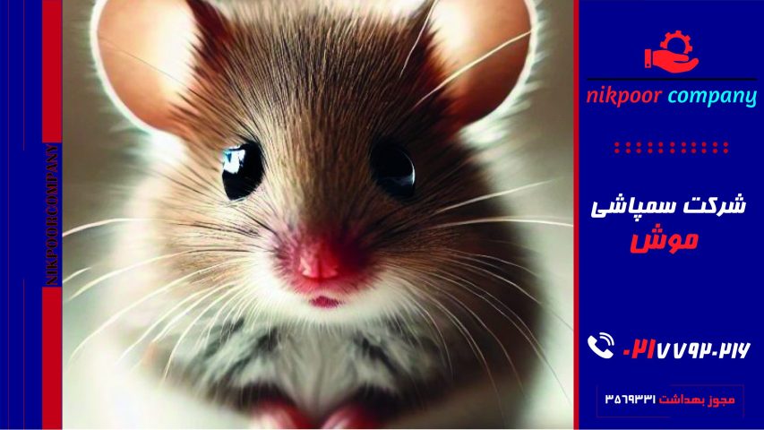 شرکت سمپاشی موش کرج (طعمه گذاری)