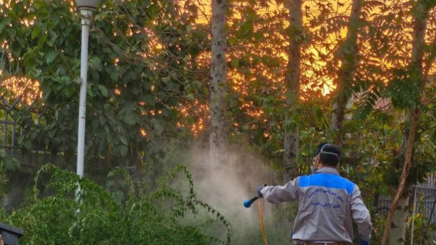 سمپاشی سیلور فیش توسط تکنسین نیکپور کمپانی