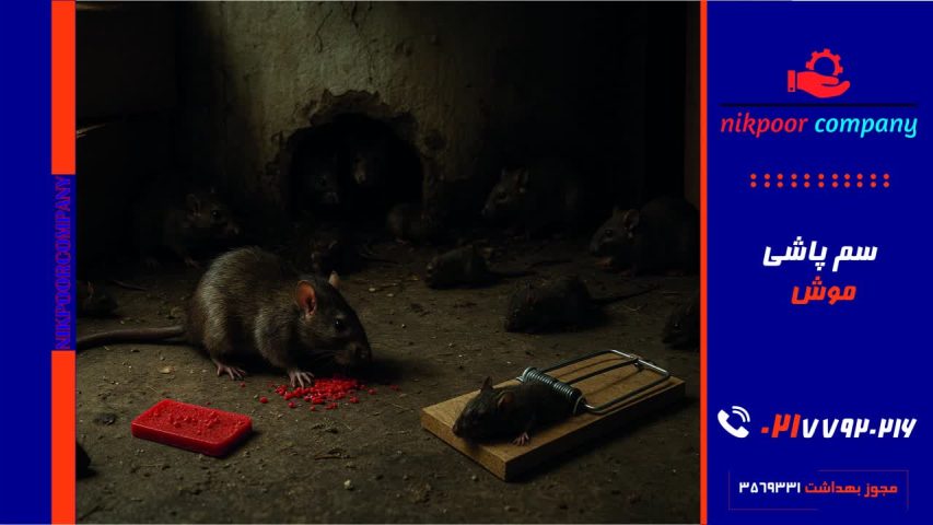 سمپاشی موش