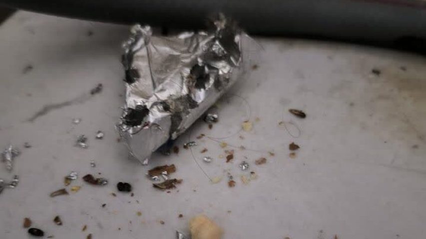 سمپاشی موش در غرب تهران