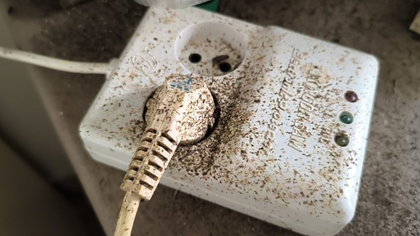 علائم وجود سوسک کابینت