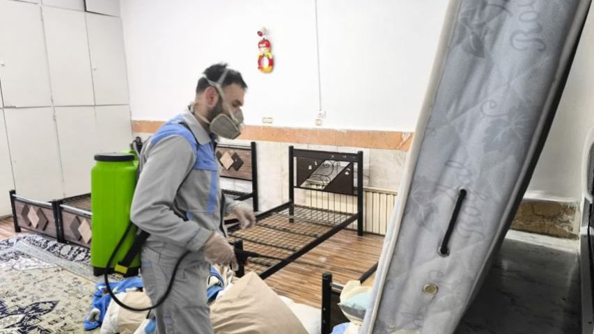 سمپاشی کک با نیکپور کمپانی