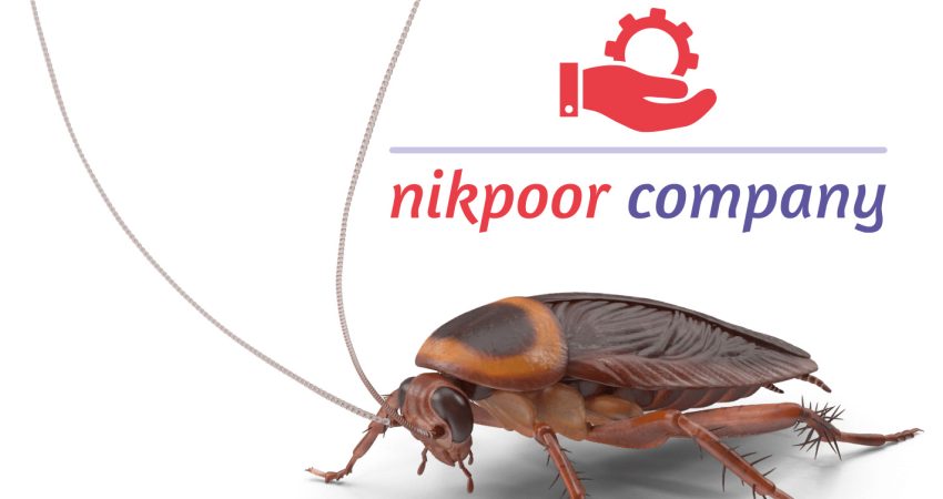 سمپاشی سوسک